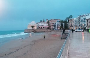 Police on Sant Sebastian beach in Sitges, where the dead dolphin was found.
