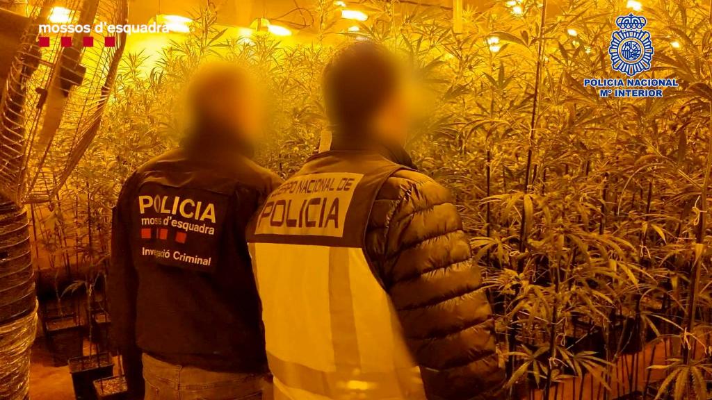 Image released by the Mossos d'Esquadra.
