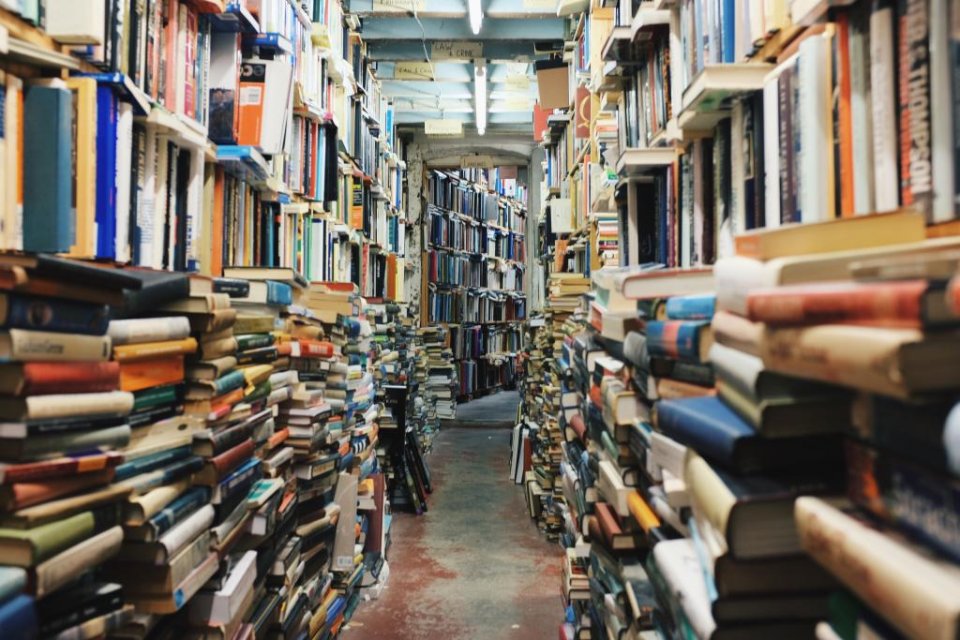 Bookshop image by Glen Noble / Unsplash.