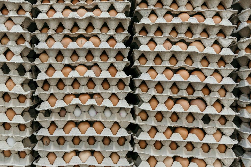Cartons of eggs