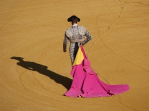 Bullfighting