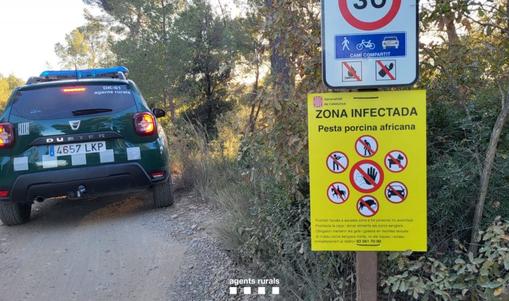 Spanish army’s emergencies unit deployed to help combat African swine...