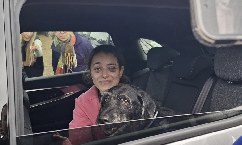 Hope amid tragedy as dog missing after train tragedy in...