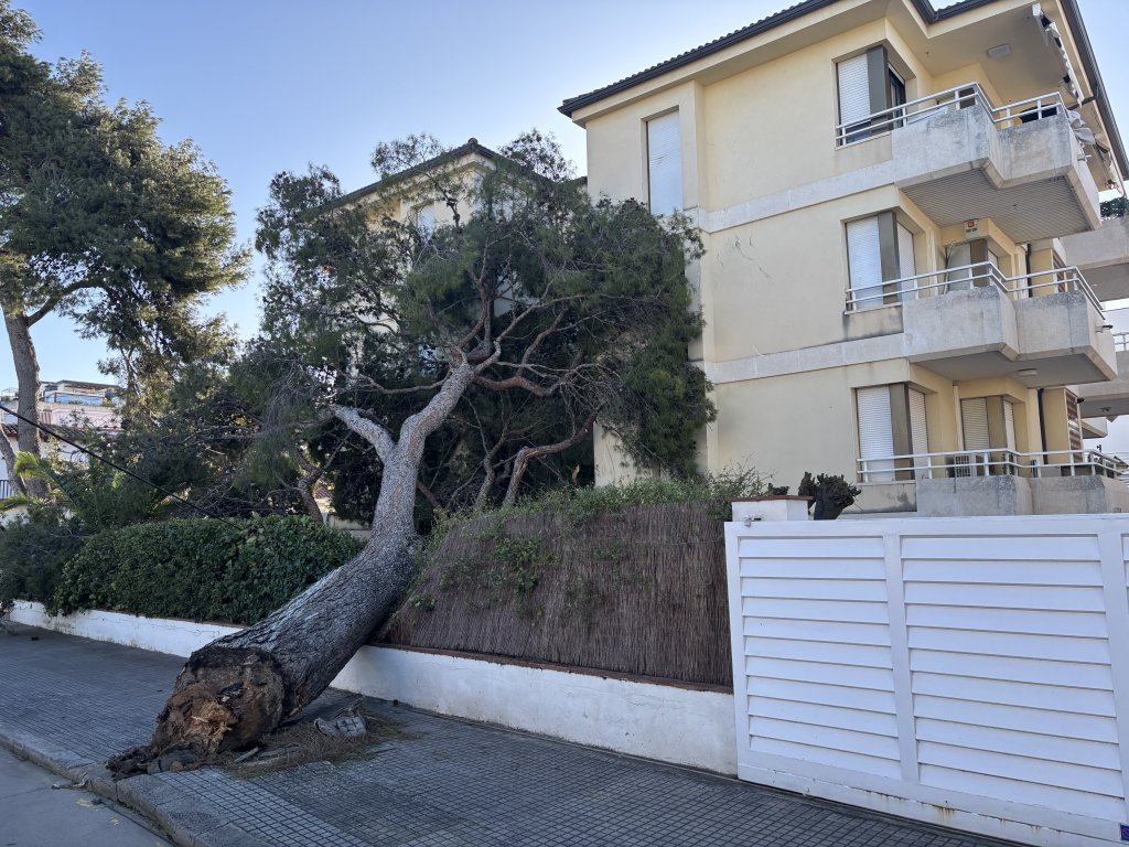 Severe winds hit Catalonia, leaving five injured amid travel chaos and widespread closures