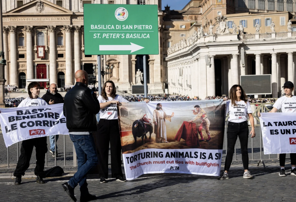 Vatican audience disrupted by anti-bullfighting activists before pope’s Spain trip